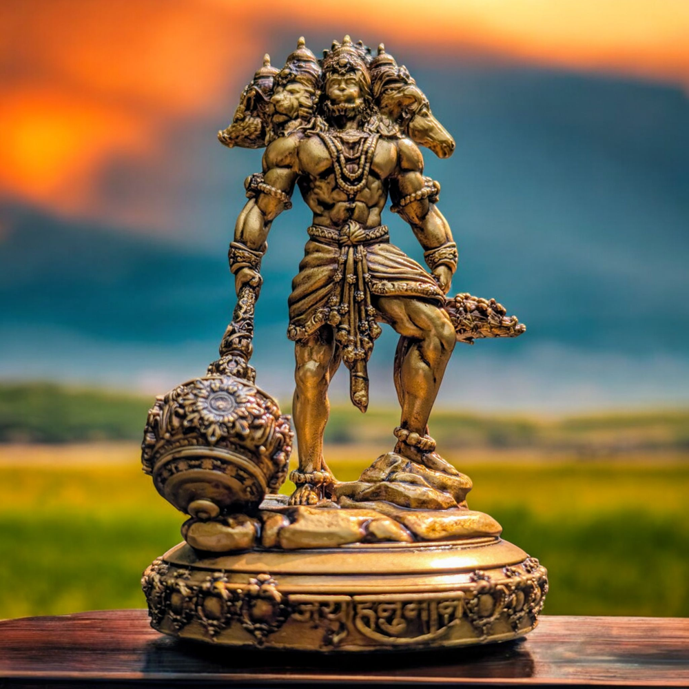 Panchmukhi Hanuman Ji With 2 Hands - Feature: Easy To Clean