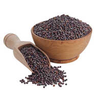Black Mustard Seeds