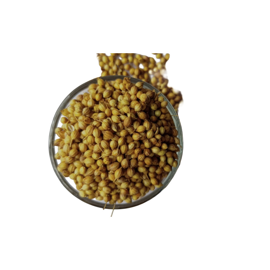 Coriander Seeds