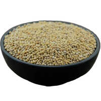 White Mustard Seeds