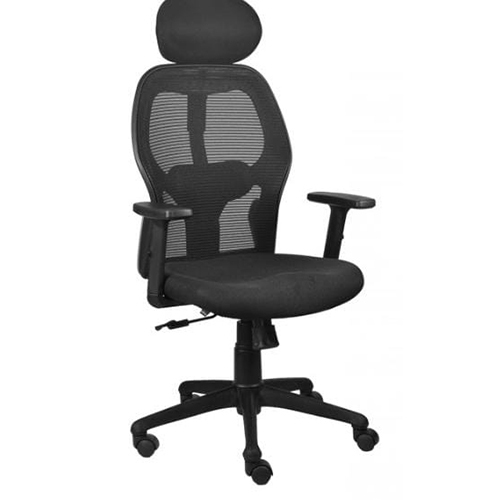 Mesh Back Chair - Color: As Per Requirement