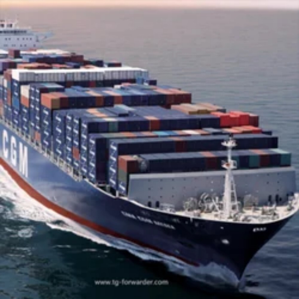 International Freight Cargo Forwarding Service