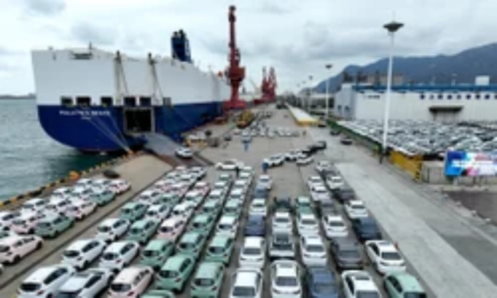 International Freight Cargo Forwarding Service