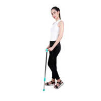 Walking Stick Single Leg - Color: Silver