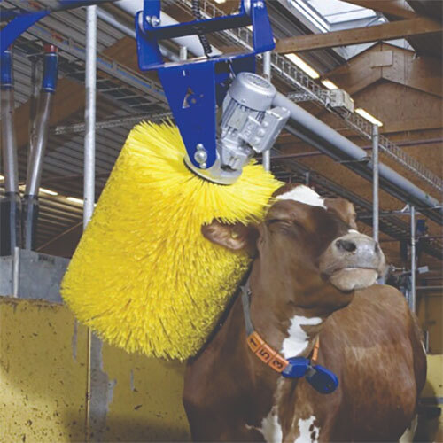 Cow Groming Brush - Application: Small Animals