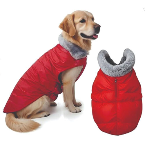 Dog Red Jacket - Feature: High Quality