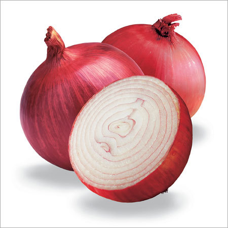 लाल प्याज