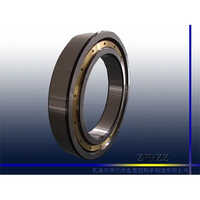 Zwhzz Deep Groove Ball Bearing 618-600mA