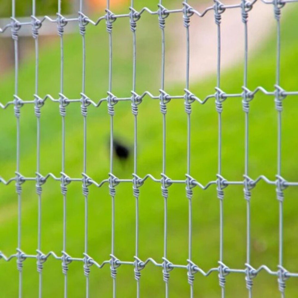3 Mm Gi Wire Fencing - Application: Sports Field