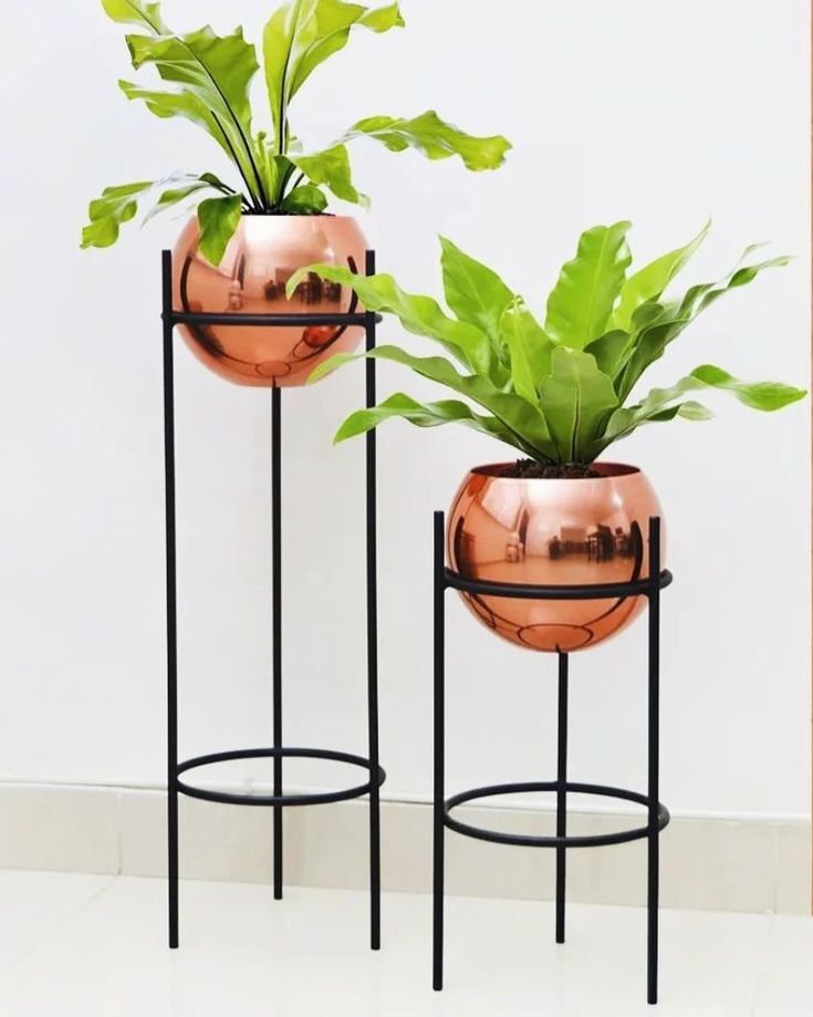 Iran Pot stand