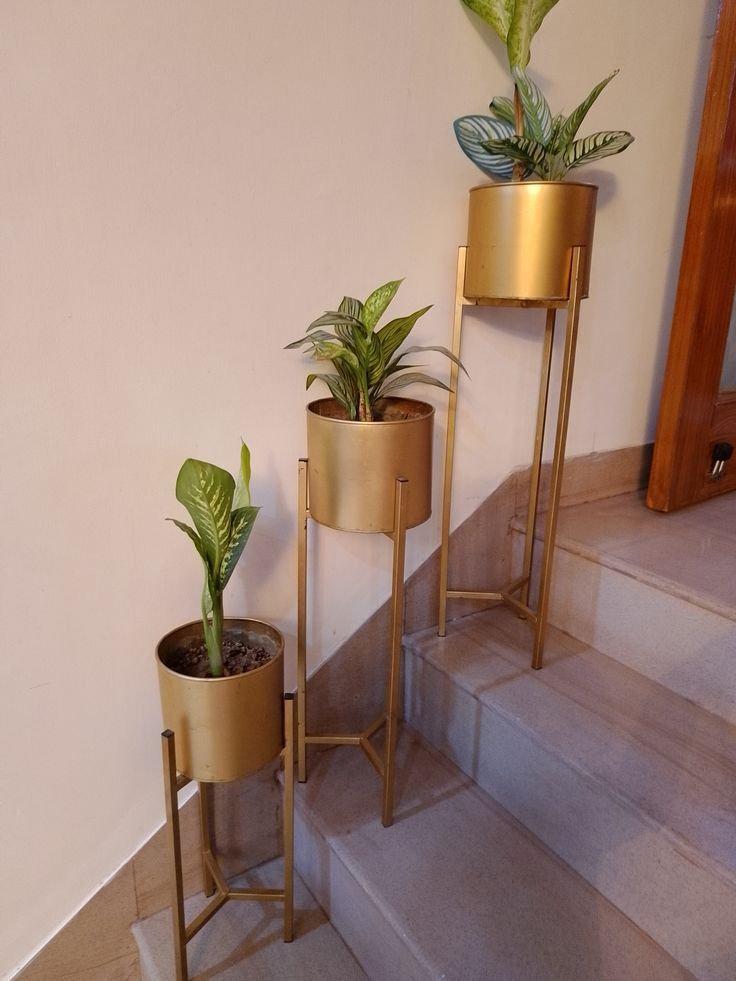 Iran planters