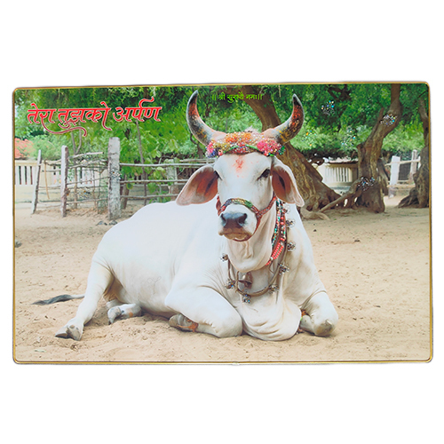 Cow Frame - Color: Multicolor