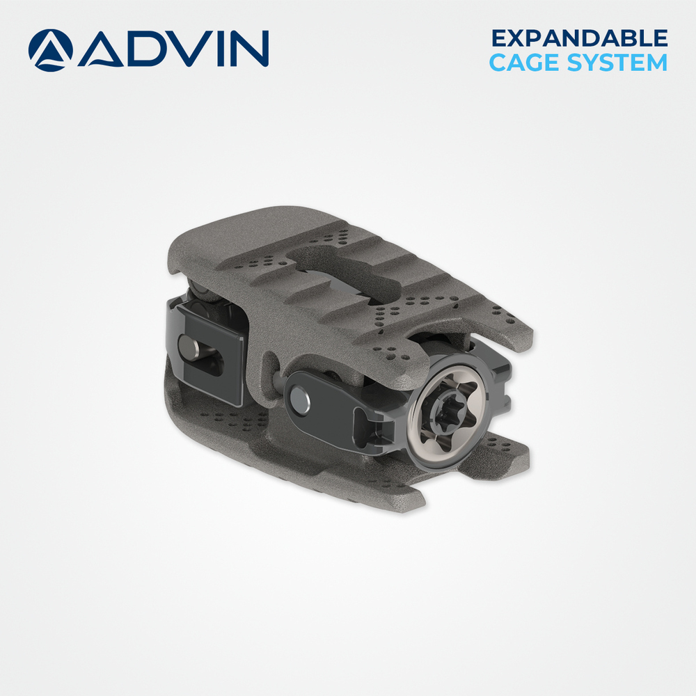 Expandable Cage System