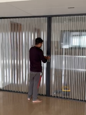 Transparent folding door
