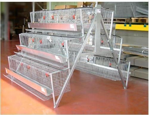 Stainless Steel Poultry Cage - Color: Gray