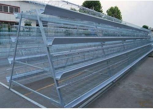 Poultry Layer Cage - Color: Gray