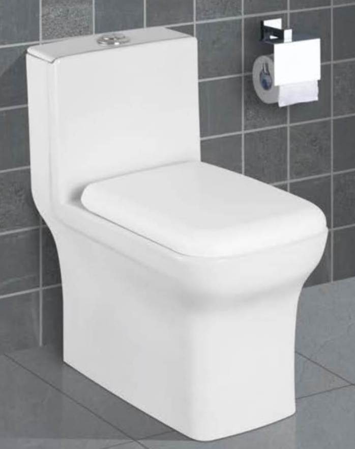 One Piece Toilet