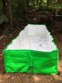 Azolla Bag