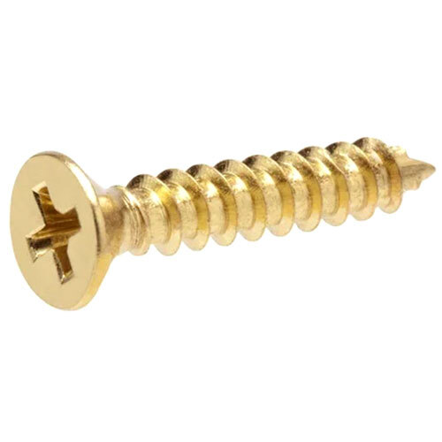 Ss Screws - Color: Silver