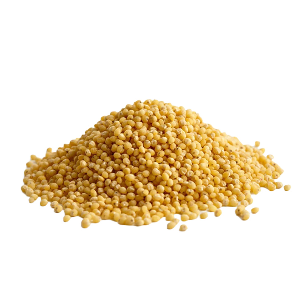 Natural Foxtail Millet - Color: Yellow