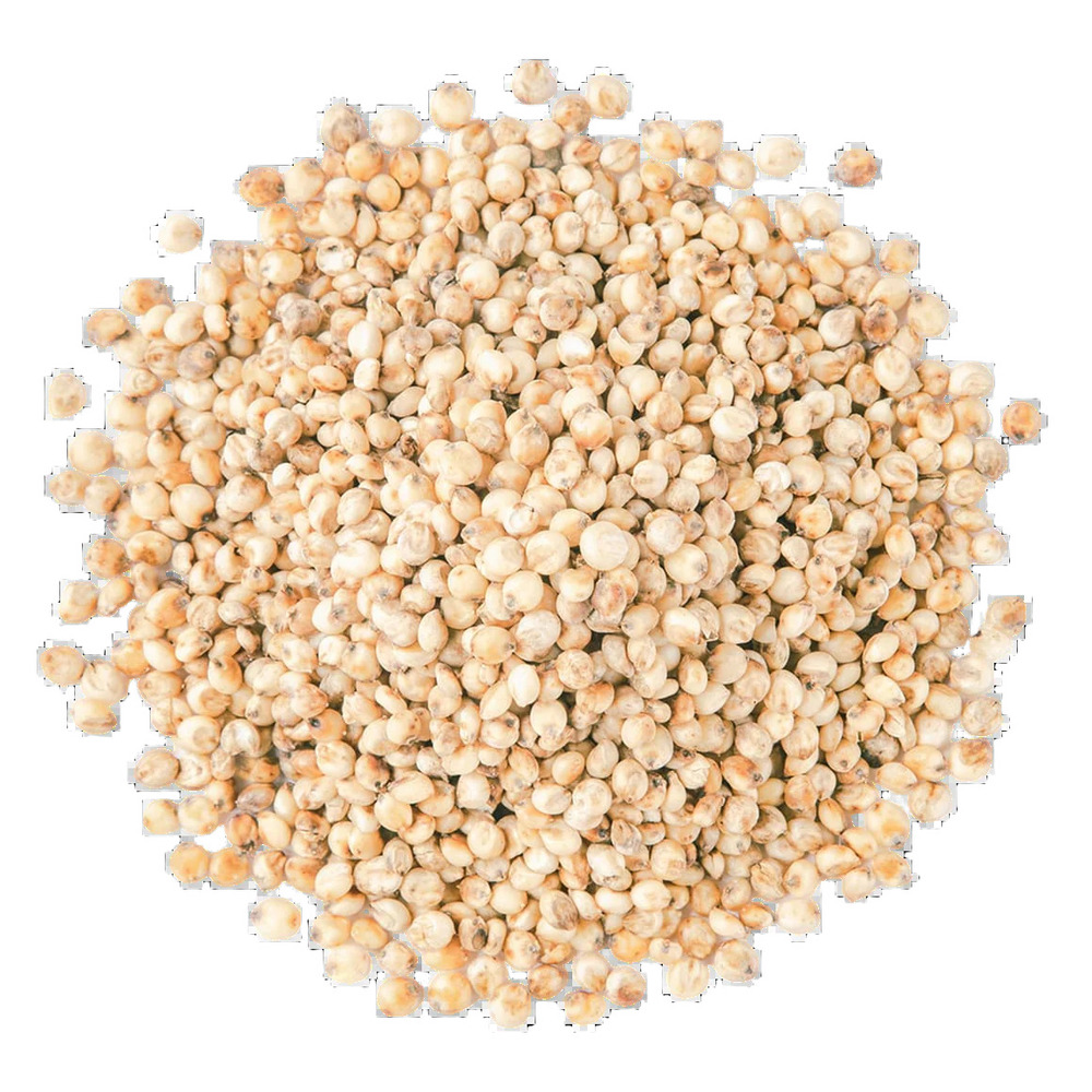 White Sorghum - Cultivation Type: Organic