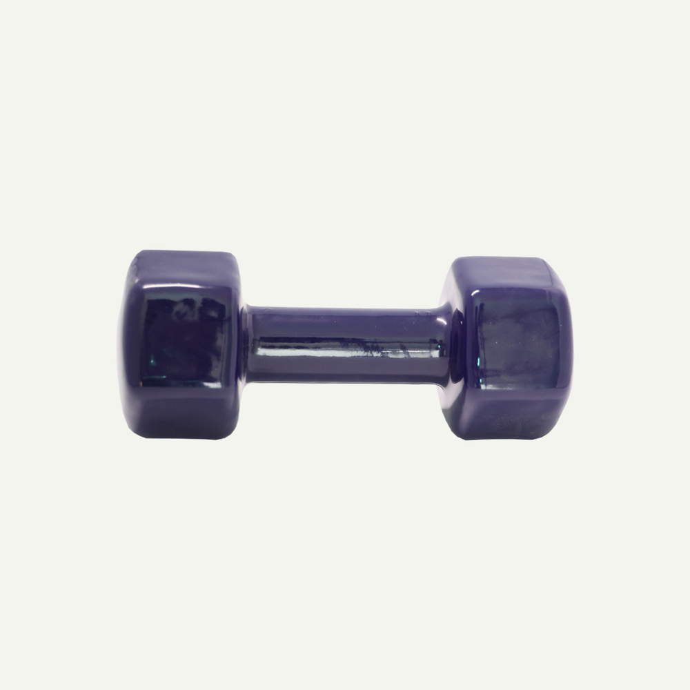 Dumbbells (1 to 3 kg)