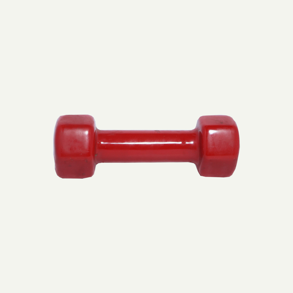 Dumbbells (1 To 3 Kg)