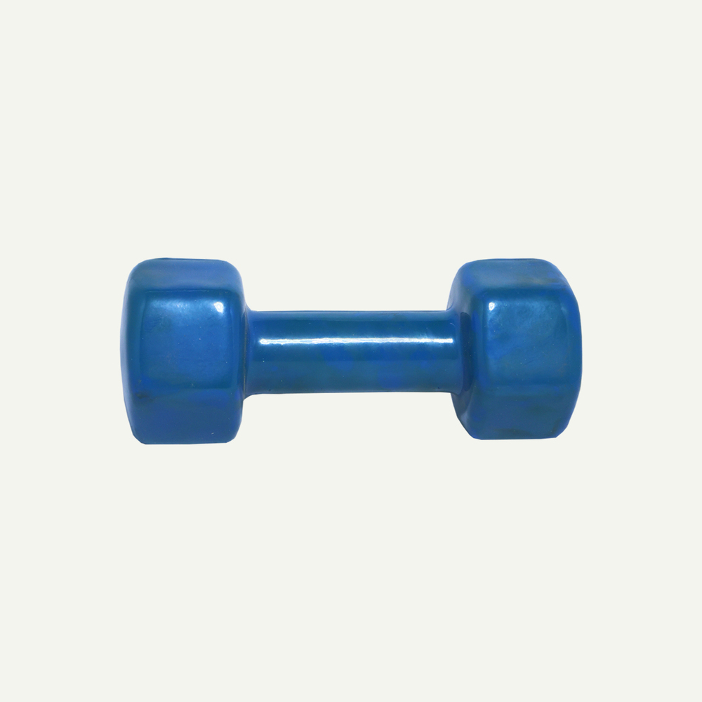 Dumbbells (1 to 3 kg)