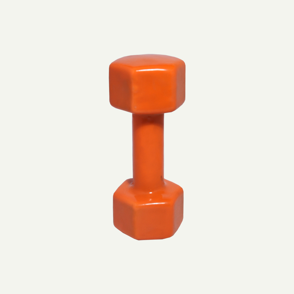 Dumbbells (1 To 3 Kg)