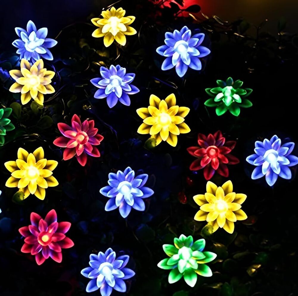 Double Lotus Led String Light Multi - Height: 1 Centimeter (Cm)