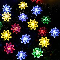 Double Lotus LED String Light multi