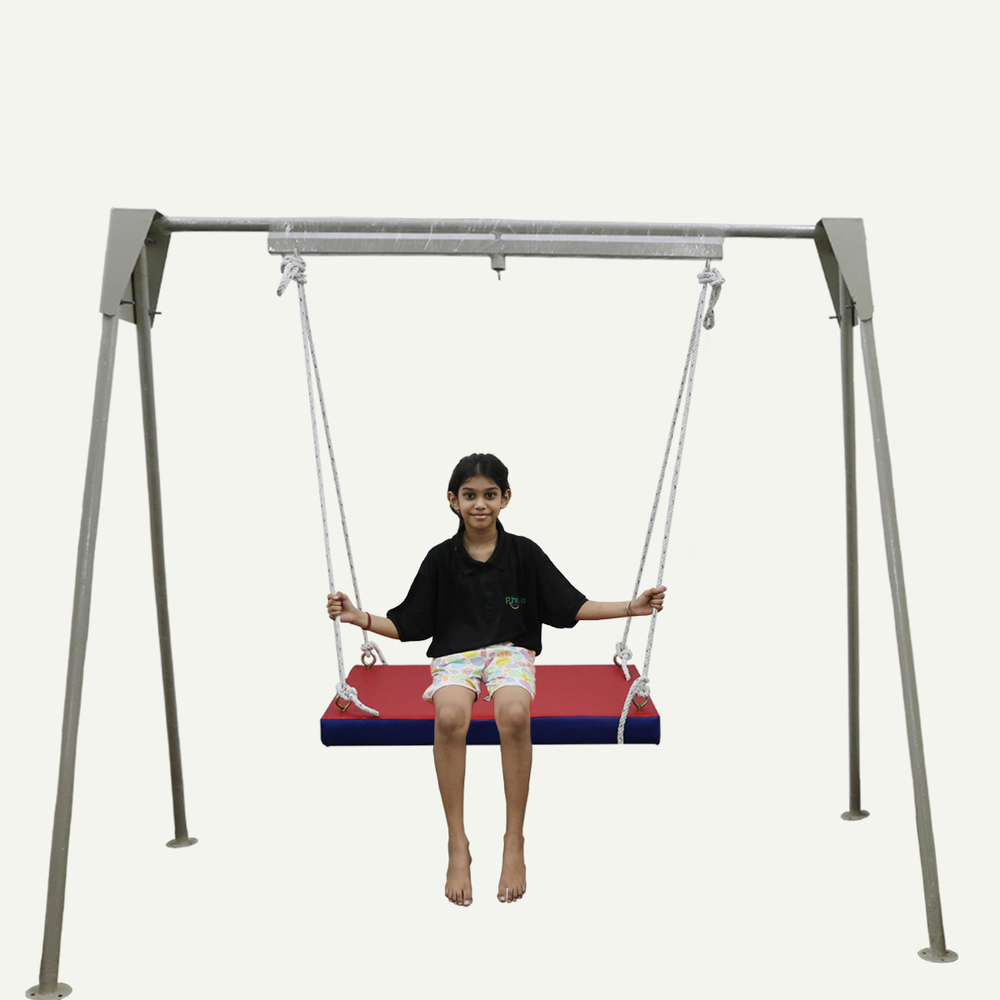 Platform Swing Occupational Therapy - Accuracy: 120