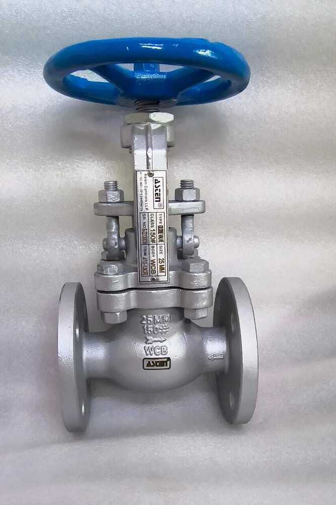 Asten SS Globe Valve
