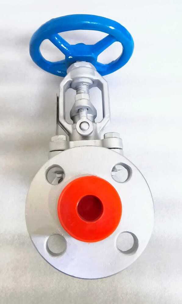 Asten SS Globe Valve