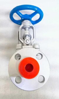 Asten SS Globe Valve