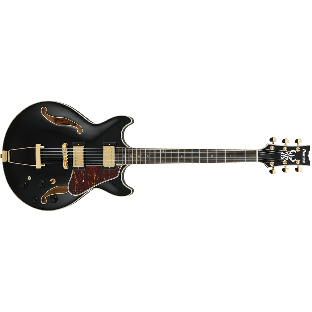 Am Artcore Expressionist Guitar - Application: Concert