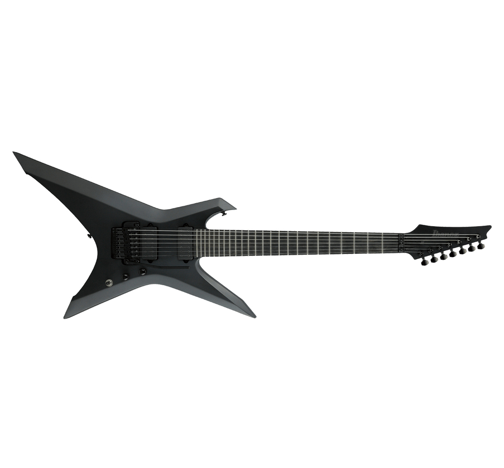 X Iron Label Guitar - Application: Concert