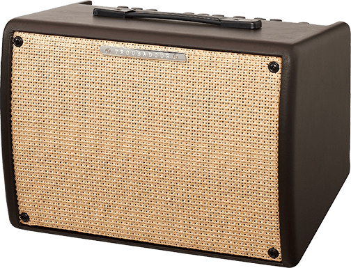 Troubadour Guitar Amplifier - Color: Various Available