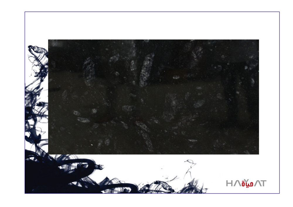 Black Pearl Granite Slab - Application: Flooring / Commercial