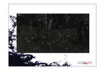 Black Pearl Granite Slab