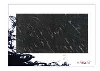 Fish Black Granite Slab