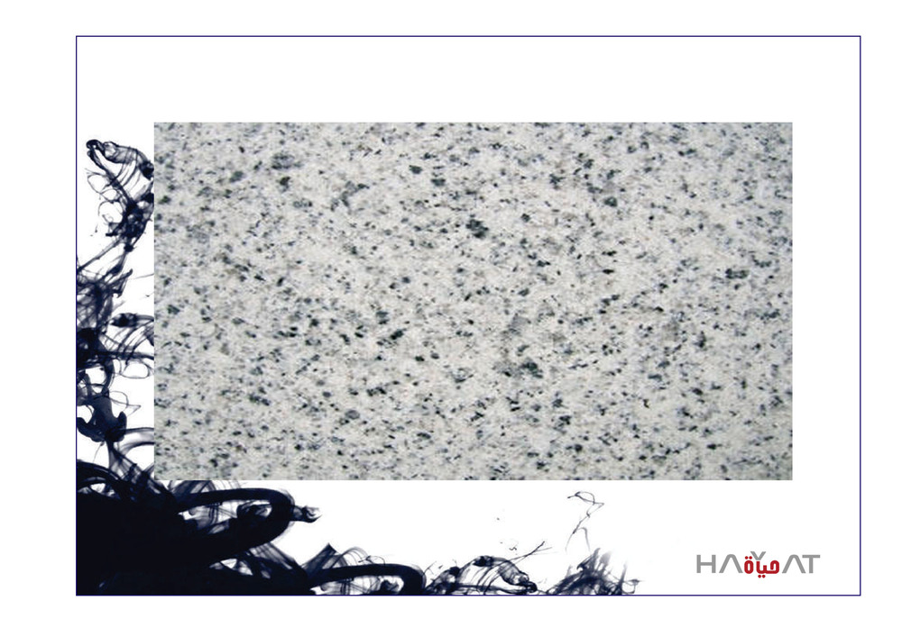 China White Granite Slab - Application: Flooring / Commercial