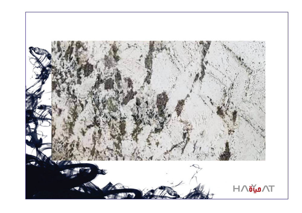 Alaska White Granite Slab - Application: Flooring / Commercial