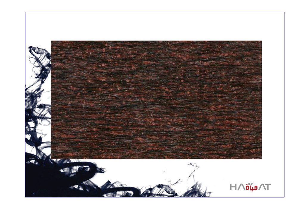Asian Top Granite Slab - Application: Flooring / Commercial