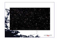 Black Galaxy Granite Slab
