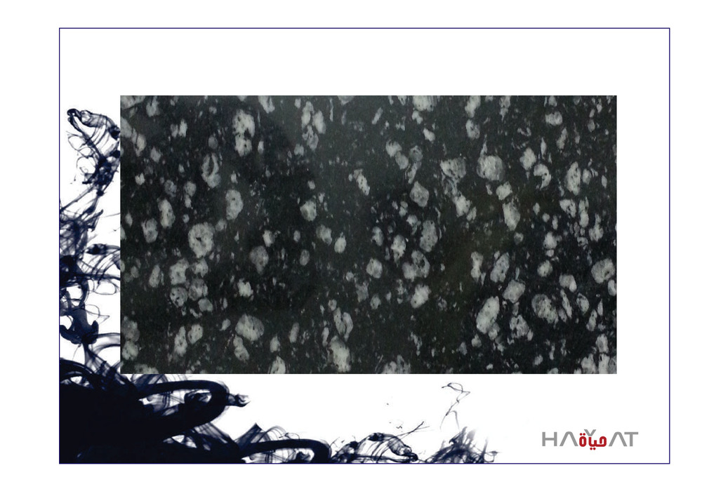 Coin Black Granite Slab - Application: Flooring / Commercial