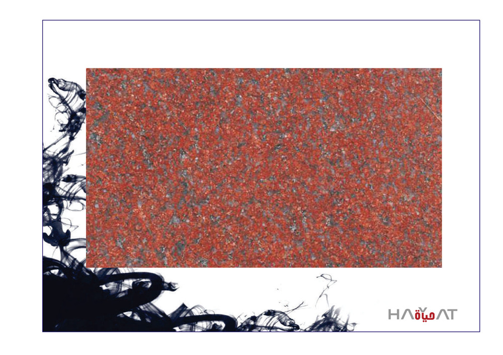 Stellar Red Granite Slab - Application: Flooring / Commercial