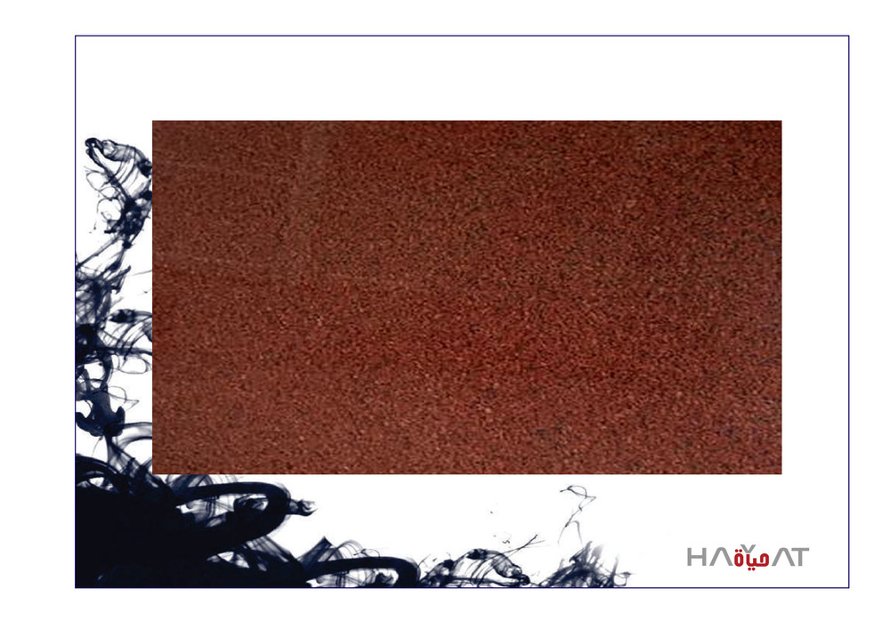 Zodiac Red Granite Slab - Application: Flooring / Commercial
