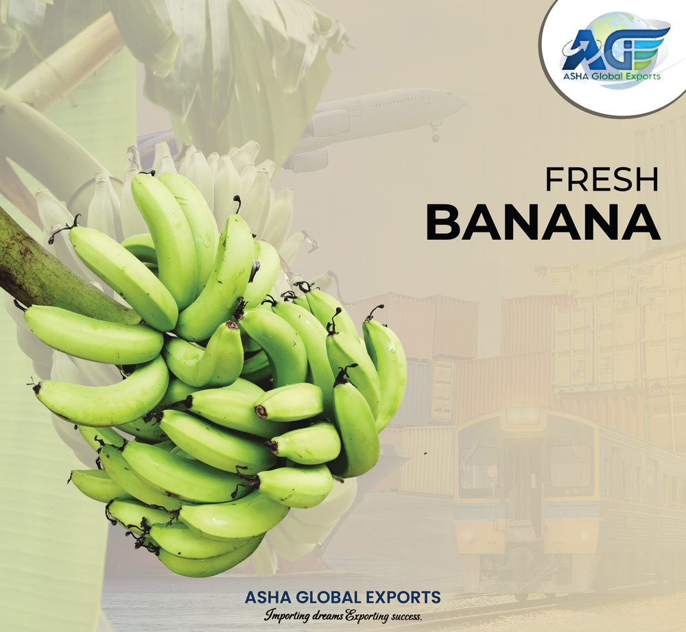 Fresh Green Banana - Cultivation Type: Common