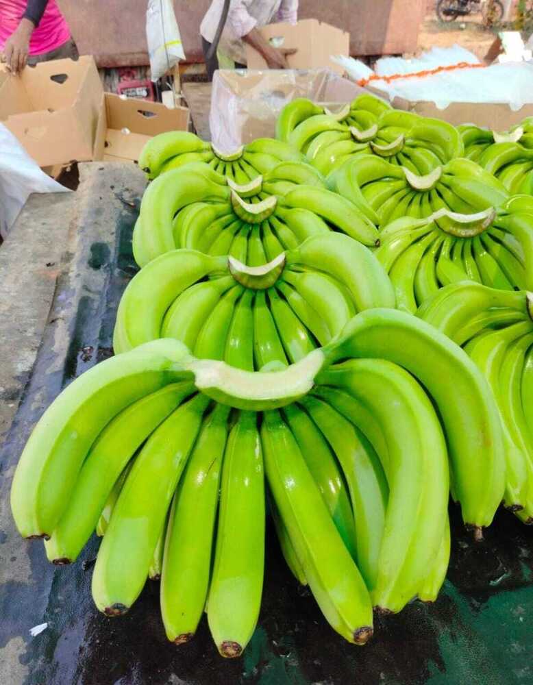 Fresh Green Banana